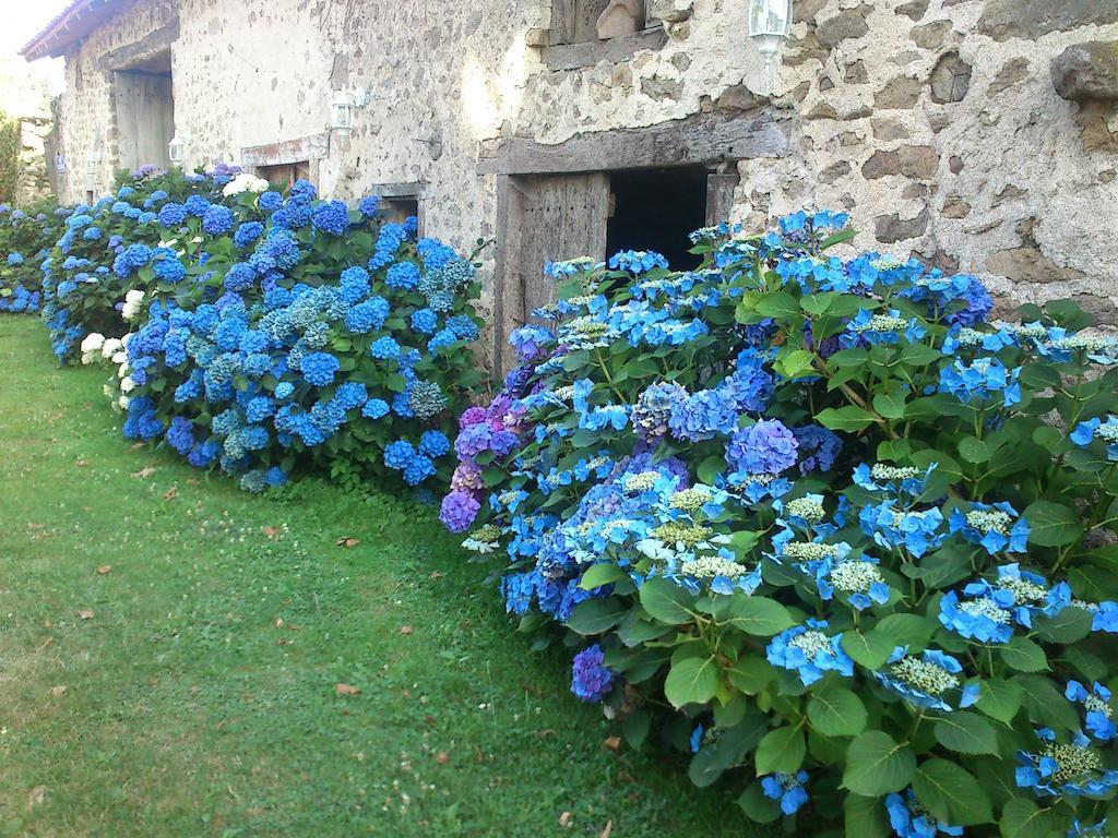 Bed and Breakfast Le Domaine De Panissac Berneuil  Exterior foto